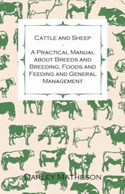 Cattle and Sheep - A Practical Manual about Breeds and Breeding, Foods and Feeding and General Management, Matheson Darley