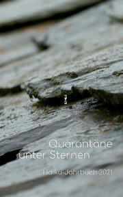 Quarantne unter Sternen, Friebel Volker
