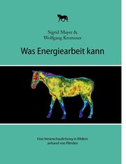 Was Energiearbeit kann, Mayer Sigrid