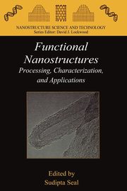Functional Nanostructures, 