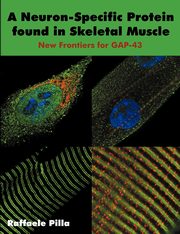 A Neuron-Specific Protein found in Skeletal Muscle, Pilla Raffaele