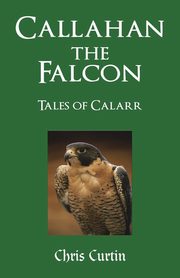Callahan the Falcon, Curtin Chris