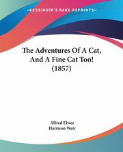 The Adventures Of A Cat, And A Fine Cat Too! (1857), Elwes Alfred