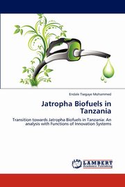 Jatropha Biofuels in Tanzania, Mohammed Endale Tsegaye