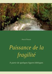 Puissance de la fragilit, Ponsot Herv