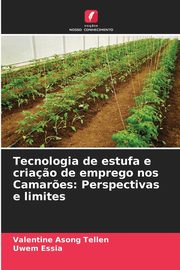 Tecnologia de estufa e cria?o de emprego nos Camar?es, Asong Tellen Valentine