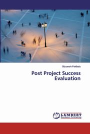 Post Project Success Evaluation, Fekibelu Bizuwork