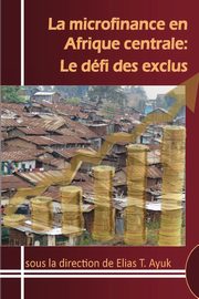 La microfinance en Afrique centrale, 
