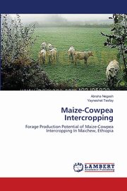 Maize-Cowpea Intercropping, Negash Abraha