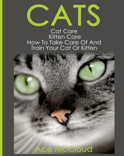 Cats, McCloud Ace