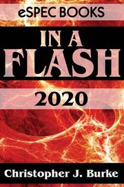 In a Flash 2020, Burke Christopher J.