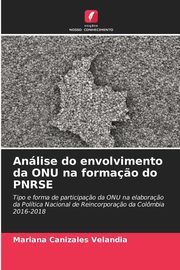 Anlise do envolvimento da ONU na forma?o do PNRSE, Canizales Velandia Mariana