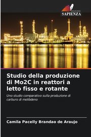 Studio della produzione di Mo2C in reattori a letto fisso e rotante, Brand?o de Arajo Camila Pacelly