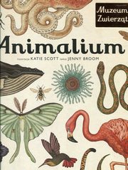 ksiazka tytu: Animalium autor: Broom Jenny