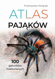 Atlas pajkw, Malgrab Przemysaw