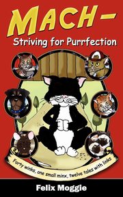 Mach - Striving for Purrfection, Moggie Felix