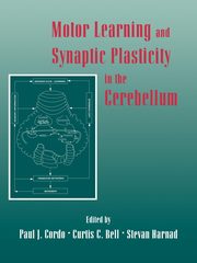 Motor Learning and Synaptic Plasticity in the Cerebellum, 