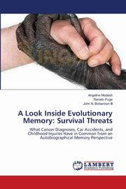 A Look Inside Evolutionary Memory, Modesti Angeline