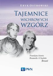 ksiazka tytu: Tajemnice wichrowych wzgrz autor: Ostrowski Eryk