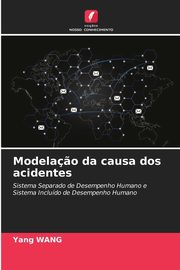 Modela?o da causa dos acidentes, Wang Yang