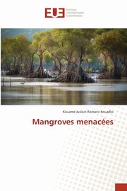 Mangroves menaces, Kouadio Kouam Juslain Romaric