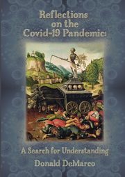 Reflections on the Covid-19 Pandemic, DeMarco Donald