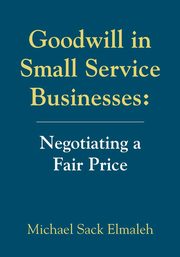 Goodwill in Small Service Businesses, Elmaleh Michael Sack