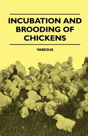 ksiazka tytu: Incubation and Brooding of Chickens autor: Various