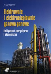 Elektrownie i elektrociepownie gazowo-parowe, Bartnik Ryszard