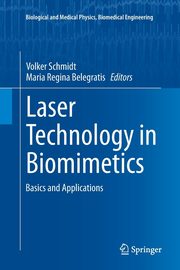 Laser Technology in Biomimetics, 