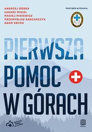 Pierwsza pomoc w grach, Grka Andrzej, Migiel ukasz, Mikiewicz Maciej, Gancarczyk Przemysaw, Ubych Adam