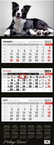 Kalendarz 2024 trjdzielny Pies KT-2 v.46, 