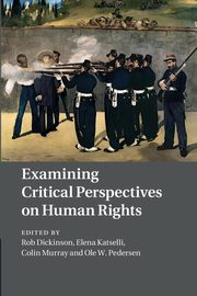 Examining Critical Perspectives on Human Rights, 