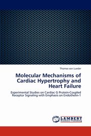 Molecular Mechanisms of Cardiac Hypertrophy and Heart Failure, von Lueder Thomas