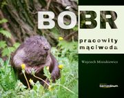 Bbr pracowity mciwoda, Misiukiewicz Wojciech