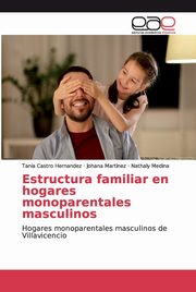 Estructura familiar en hogares monoparentales masculinos, Castro Hernandez Tania