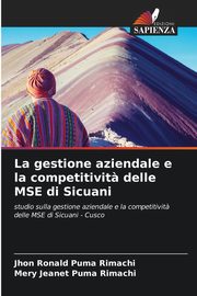 La gestione aziendale e la competitivit? delle MSE di Sicuani, Puma Rimachi Jhon Ronald