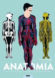 Anatomia Obraz ludzkiego ciaa na wyjtkowych aurowych rycinach, Druvert Helene