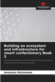 Building an ecosystem and infrastructure for smart confectionery Book 3, Shchurenko Anastasia