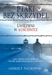 Ptaki bez skrzyde, Paczkowski Andrzej F.