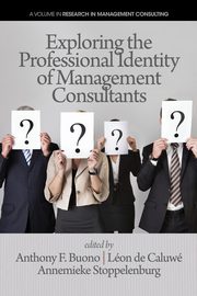 Exploring the Professional Identity of Management Consultants, 