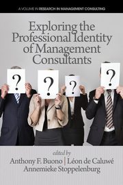 Exploring the Professional Identity of Management Consultants, 