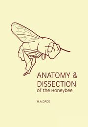 Anatomy and Dissection of the Honeybee, Dade H A