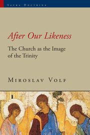 After Our Likeness, Volf Miroslav