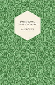 Dashenka - Or, The Life of a Puppy, apek Karel