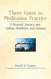 Three Gates to Meditation Practices, Cooper Rabbi David A.