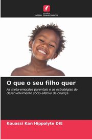 O que o seu filho quer, DIE Kouassi Kan Hippolyte
