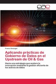 Aplicando prcticas de Gobierno de Datos en el Upstream de Oil & Gas, Sonzogni Franco