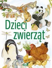 ksiazka tytu: Dzieci zwierzt autor: 