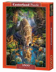 ksiazka tytu: Puzzle 1500 Wolf in the Wild autor: 